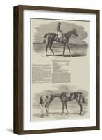 Epsom Races, Portraits of the Winners of the Derby and the Oaks-Benjamin Herring-Framed Giclee Print