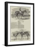 Epsom Races, Portraits of the Winners of the Derby and the Oaks-Benjamin Herring-Framed Giclee Print