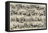 Epsom Races, the Return from The Derby-John Leech-Framed Stretched Canvas