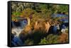 Epupa Waterfall, Namibia-Grobler du Preez-Framed Stretched Canvas