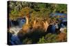 Epupa Waterfall, Namibia-Grobler du Preez-Stretched Canvas