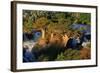 Epupa Waterfall, Namibia-Grobler du Preez-Framed Photographic Print