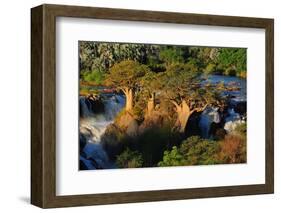 Epupa Waterfall, Namibia-Grobler du Preez-Framed Photographic Print