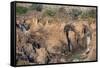 Epupa Waterfalls Closeup-F.C.G.-Framed Stretched Canvas