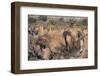 Epupa Waterfalls Closeup-F.C.G.-Framed Photographic Print