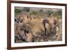 Epupa Waterfalls Closeup-F.C.G.-Framed Photographic Print