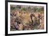 Epupa Waterfalls Closeup-F.C.G.-Framed Photographic Print