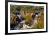 Epupa Waterfalls in on the Border of Angola and Namibia-Grobler du Preez-Framed Photographic Print