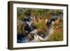 Epupa Waterfalls in on the Border of Angola and Namibia-Grobler du Preez-Framed Photographic Print