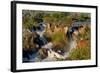 Epupa Waterfalls in on the Border of Angola and Namibia-Grobler du Preez-Framed Photographic Print