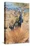 Epupa Waterfalls-F.C.G.-Stretched Canvas