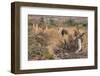 Epupa Waterfalls-F.C.G.-Framed Photographic Print