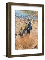 Epupa Waterfalls-F.C.G.-Framed Photographic Print