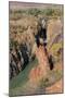 Epupa Waterfalls-F.C.G.-Mounted Photographic Print