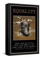 Equality-null-Framed Stretched Canvas