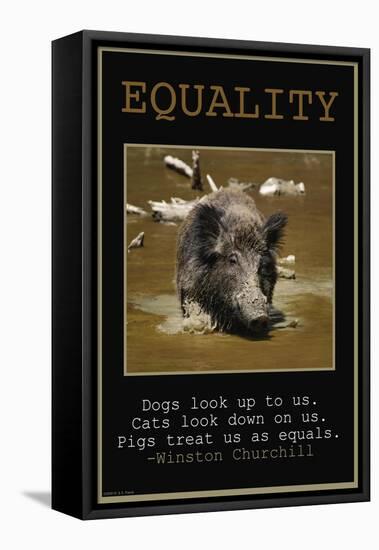 Equality-null-Framed Stretched Canvas
