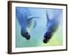 Equally Fascinating, 2003-Mark Adlington-Framed Giclee Print