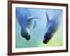 Equally Fascinating, 2003-Mark Adlington-Framed Giclee Print