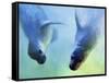 Equally Fascinating, 2003-Mark Adlington-Framed Stretched Canvas