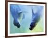 Equally Fascinating, 2003-Mark Adlington-Framed Giclee Print