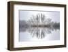 Equanimity-Philippe Sainte-Laudy-Framed Photographic Print