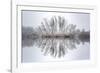 Equanimity-Philippe Sainte-Laudy-Framed Photographic Print