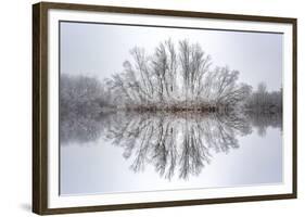 Equanimity-Philippe Sainte-Laudy-Framed Photographic Print