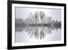 Equanimity-Philippe Sainte-Laudy-Framed Photographic Print