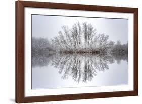 Equanimity-Philippe Sainte-Laudy-Framed Photographic Print