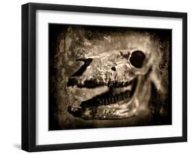 Equas Caballus-Clive Nolan-Framed Photographic Print