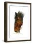 Equestian-Tim Knepp-Framed Giclee Print