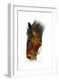 Equestian-Tim Knepp-Framed Giclee Print
