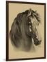 Equestrain Portrait II-Vision Studio-Framed Premium Giclee Print