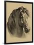 Equestrain Portrait II-Vision Studio-Framed Premium Giclee Print