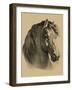 Equestrain Portrait II-Vision Studio-Framed Art Print