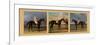 Equestrian Panel-J.F. Herring & J. Ferneley-Framed Premium Giclee Print