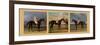 Equestrian Panel-J.F. Herring & J. Ferneley-Framed Art Print