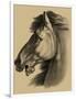 Equestrian Portrait III-Vision Studio-Framed Premium Giclee Print