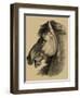 Equestrian Portrait III-Vision Studio-Framed Art Print