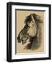 Equestrian Portrait III-Vision Studio-Framed Art Print