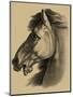 Equestrian Portrait III-Vision Studio-Mounted Art Print