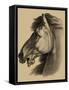 Equestrian Portrait III-Vision Studio-Framed Stretched Canvas