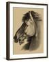 Equestrian Portrait III-Vision Studio-Framed Art Print