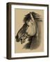 Equestrian Portrait III-Vision Studio-Framed Art Print