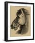 Equestrian Portrait III-Vision Studio-Framed Art Print