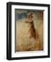 Equestrian Portrait of a Lady, Said to Be Lady Elizabeth Foster-Richard Cosway-Framed Giclee Print