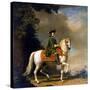 Equestrian Portrait of Empress Catherine II, (1729-179), after 1762-Vigilius Erichsen-Stretched Canvas