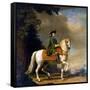 Equestrian Portrait of Empress Catherine II, (1729-179), after 1762-Vigilius Erichsen-Framed Stretched Canvas