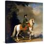 Equestrian Portrait of Empress Catherine II, (1729-179), after 1762-Vigilius Erichsen-Stretched Canvas