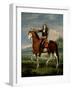 Equestrian Portrait of Henri De La Tour D'Auvergne (1611-75) Marshal Turenne-Adam Frans van der Meulen-Framed Giclee Print